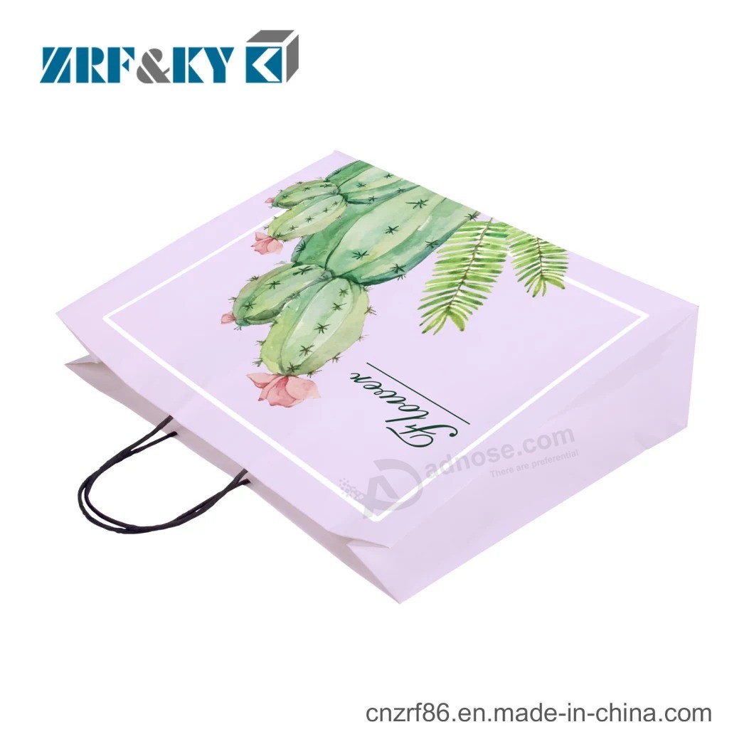 Custom Printed Fashion Color Paper Packaging Shopping Bags with Handle