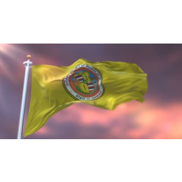 Wholesale custom nylon Honolulu Flag 3 Feet x 5 Feet