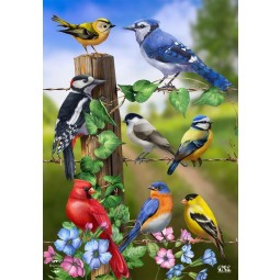 Briarwood Lane Country Birds Spring House Flag Goldfinches Blue Jay 28" x 40"