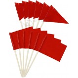 Solid Red Blank Mini Toothpick Flags Rectangle Triangle Stick Mix and Match Color Cupcake Toppers Flags DIY Decoration(100 Pcs)