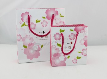 Custom size cheap Gift Paper Bag with your logo