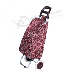 Saco de cOMpras on-line, carrinho de carrinho de cOMpras, trolley saco de cOMpras veGetal