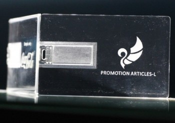 Heißer Verkauf Werbe-USB-Flash-Disk