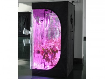 Wholesale 100x100x200cm Grow Tent with cheap price and high quality