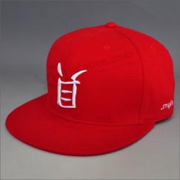 青年snapback棒球帽帽子与自定义标志