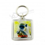 Billige maßgeschneiderte Acrylkeychains für touristische Andenken für Gewohnheit