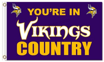NFL Minnesota Vikings 3'x5' polyester flags vikings country with high quality