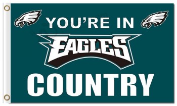Nfl philadelphia eagles 3'x5'聚酯旗鹰队国家