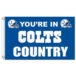 NFL Indianapolis Colts 3'x5' polyester flags colts country with your logo