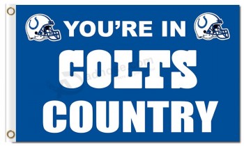 Nfl Indianapolis Colts 3'x5 'Polyester Fahnen Hengstfohlen Land