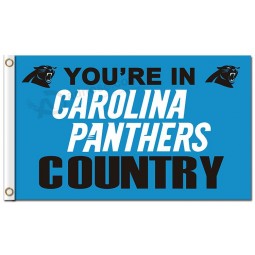NFL Carolina Panthers 3'x5' polyester flags panthers country