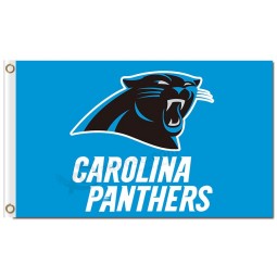 NFL Carolina Panthers 3'x5' polyester flags logo with name