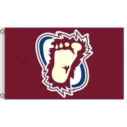 NHL colorado Lawine 3'x5'Polyester kennzeichnet großen Fuß