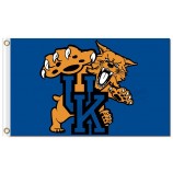 Ncaa Kentucky Wildcats 3'x5 'Polyester Flaggen zum Verkauf