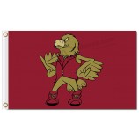 Ncaa denver pioniers 3'x5 'polyester fahnen zum verkauf