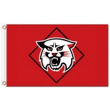 Ncaa Davidson Wildcats 3'x5 'Polyester Flaggen Logo zu verkaufen