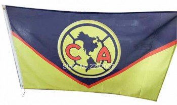 Taille faite sur commande en gros pour les drapeaux d'état, de territoire et de ville