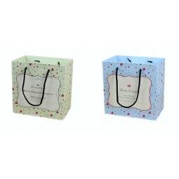 High Quality Colour Design Paper Bag (YY-B0201) with your logo