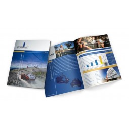 PERsoNNUnElisé UnEvEC voTRE loGo PouR uN CUnETUnEloGuE dE CoulEuRs PUnERFUnEiTEs/BRoCHuREs/UsiNE d'imPREssioN dE BRoCHuRE (YY--H0002)