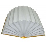 INdividuEllEs LoGo FüR HoCHWERTiGE, FEinlTBEinRE GEsCHENKBox.EN iN sPEziEllER FoRm (JEin--B0305)