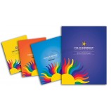 Wholesale custom Beautiful Full Colour Printing A5/A6 Catalogue for Products (YY-C0013)