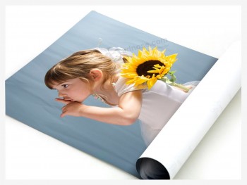 卸売りカスタム安価なカスタムピリングハイソリューション印刷ポスター (YY-P001)