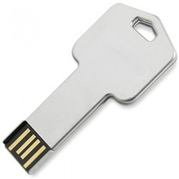 カスタムハイ-無料のレーザーロゴを持つ大容量の1Gb USBフラッシュドライブ (Tf-0419)