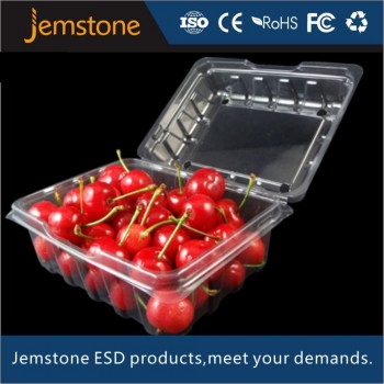 Hot Sale Clamshell Disposable Fruit Tray