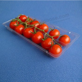 PP Food Packaging Plastic Blister Tray, Disposable Frozen Food