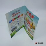 PuerTa de folleTos de impresión de cuaTro colores de aLTa calidad doblada
