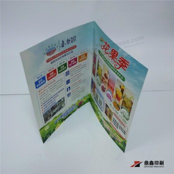 PuerTa de folleTos de impresión de cuaTro colores de aLTa calidad doblada