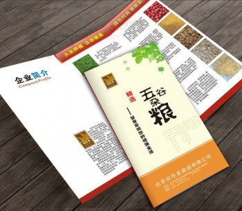 Hot Color Printing Brochure Flyer Printing Leaflet Printing&Booklet