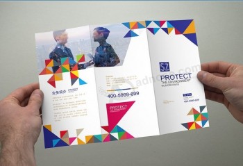 Custom Advertising Business Brochures/Catalogues/Folded Leaflets