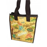Öko-VliessToff isolierT Kühler Lunch Bag zum Verkauf
