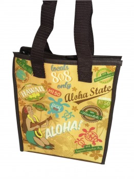 Öko-VliessToff isolierT Kühler Lunch Bag zum Verkauf