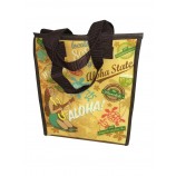 Großhandel OuTdoor-FiTness Vlies isolierT Lunch Bag Picknick Tasche