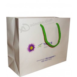 Paper Handle Shopping Bags Wholesale with Cheap Price