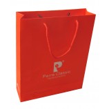 Paper Handle Shopping Bags for Gift