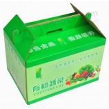 定制高-质量方便的蔬菜便携箱 (PB-008)
