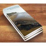 Großhandelskundenspezifisches hochwertiges PreiswerteStes Akkordeon gefalteter reisender Katalog