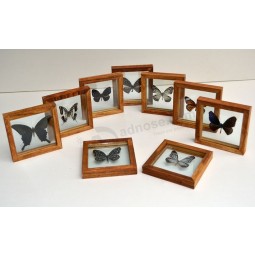 Wholesale custom high-end Simplicity Wood Photo Frames for Butterfly Specimens with your logo