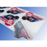Custom Printed Pet Cosmetic Stickers (GT-026) for custom with your logo