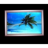 Full Color LED Lightbox Advertising Lightbox for Billboard