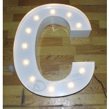 GroothanDel op maat hoog-EinDe Aluminium verlichting Decoratie gloeilamp letters