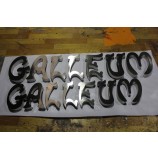 Stainless Steel Letter Metal Logo Display Signage