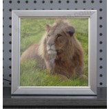 Aluminium magnetische frame slanke leD reclame lichtbak met leD Display boarD