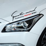 Nueva Pagegatina Pagromocional de auto que Anuncio.vierte que está Pagegajosa afuera del auto