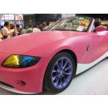Wholesale custom high quality Bubble-Free Removable Car Sticker (GAV120) with any size 