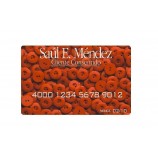 ALL'ingroSSo perSonaLizzato oFFSet pvc aLto-CLCoMeSe con iL MigLior prezzo MeMBro DeLLa nave SMart carD