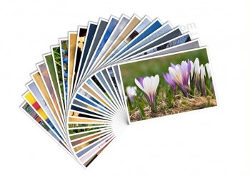 Wholesale custom Postcard Printing with high quality from XY printing